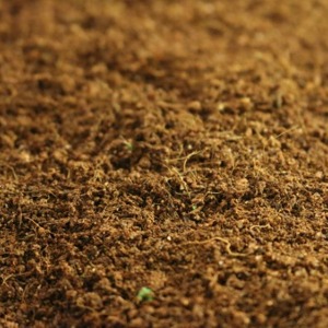 코코피트 + 황토 1:1 비율배합 바닥모래